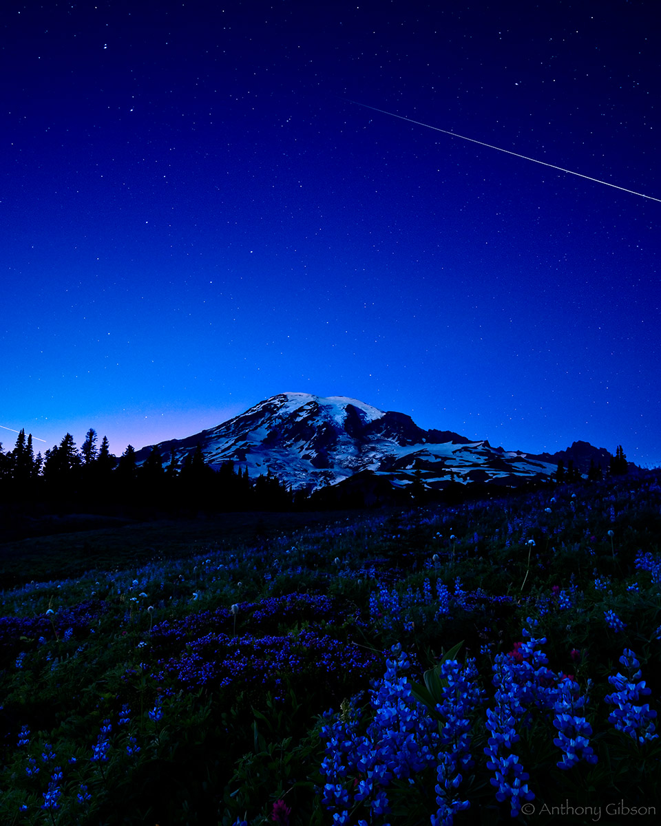 Wishes (shooting stars)