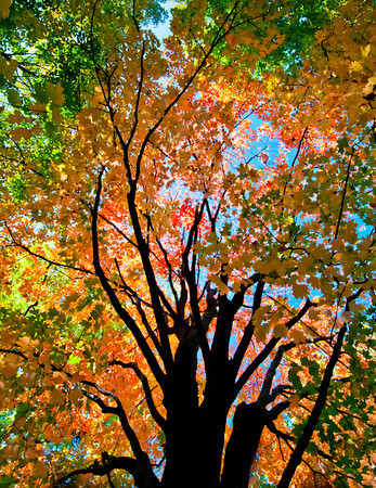 Colors of Rainbow