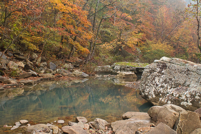 Haw Creek Color