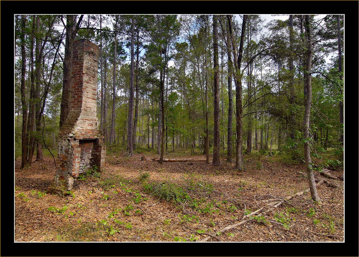 Old Homestead