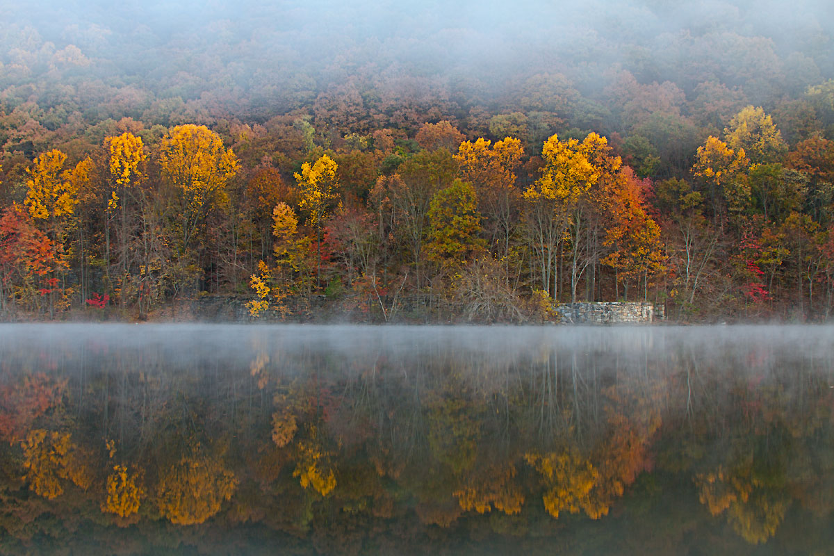 Misty Morning