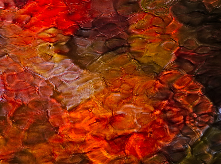 Fall Watercolour