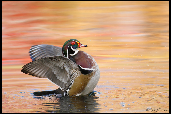 Drying Off