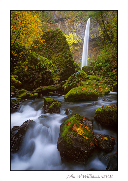 Elowah Fall