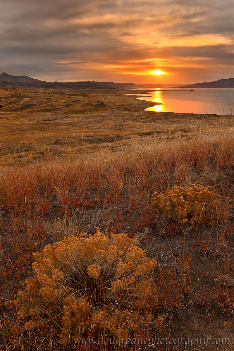 Autumn Sunrise w Repost