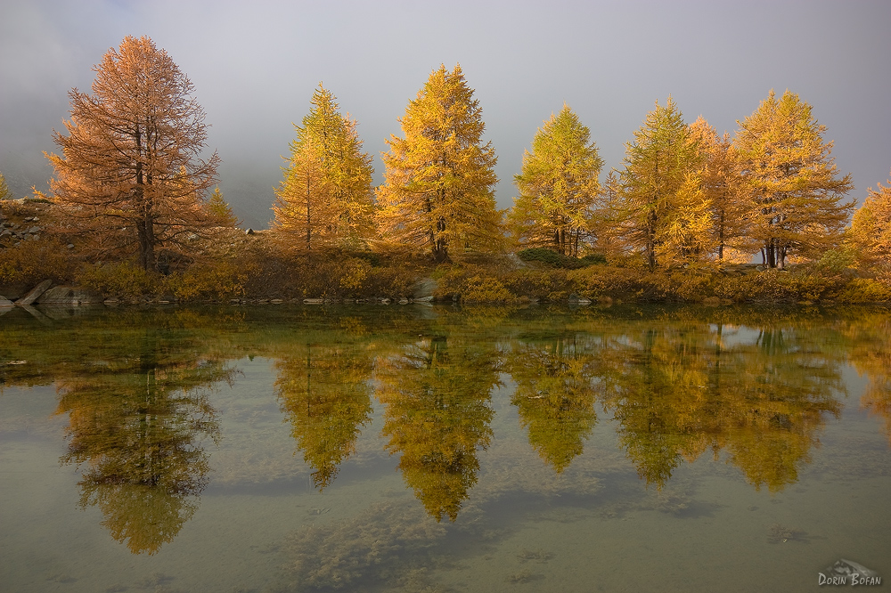 Reflecting moment
