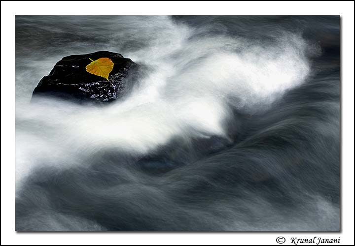 Solitude