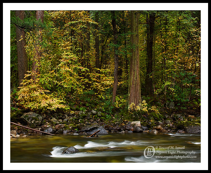Merced Color