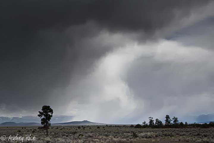 Stormy Sky