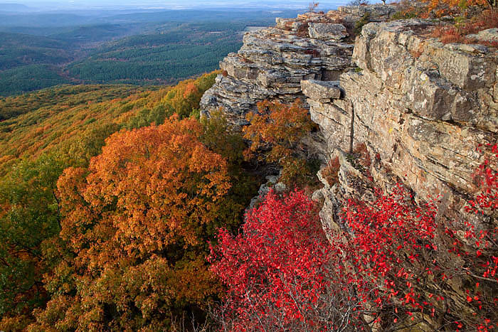 More from Mount Magazine
