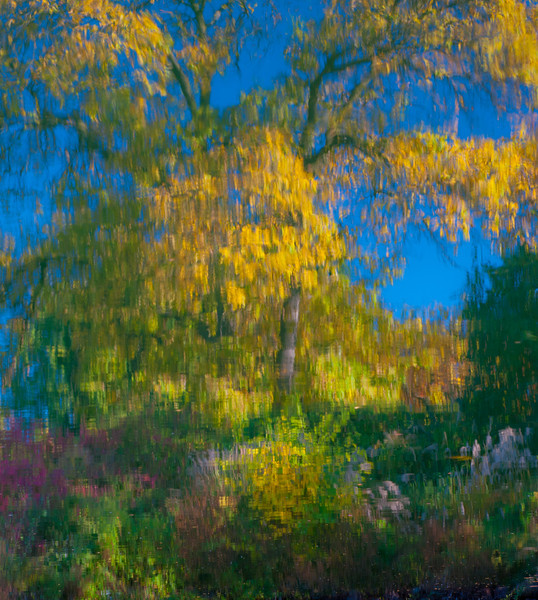 Monet Impression