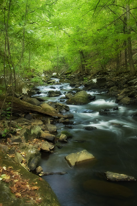 Cedar Creek