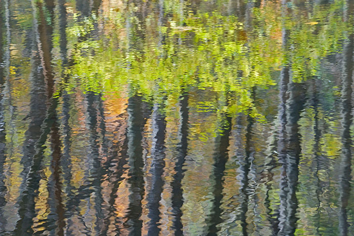 Reflection 3