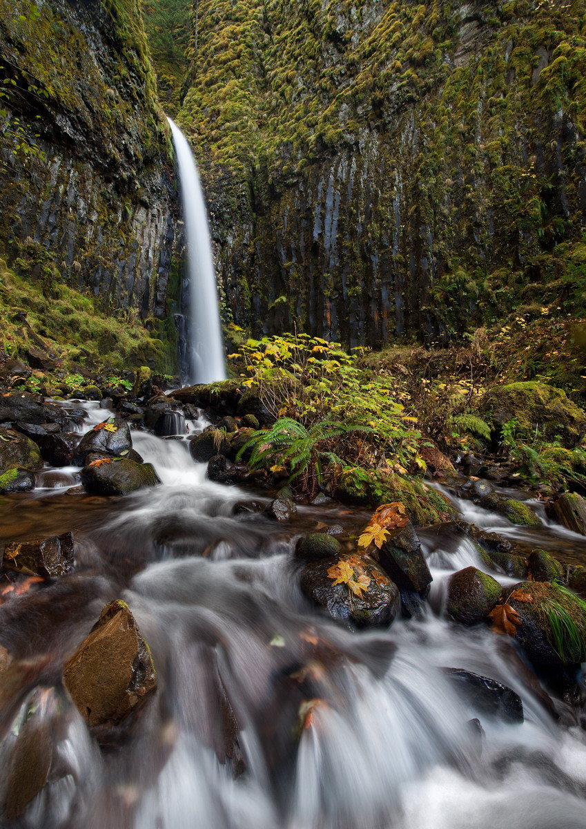 Dry Creek Falls 