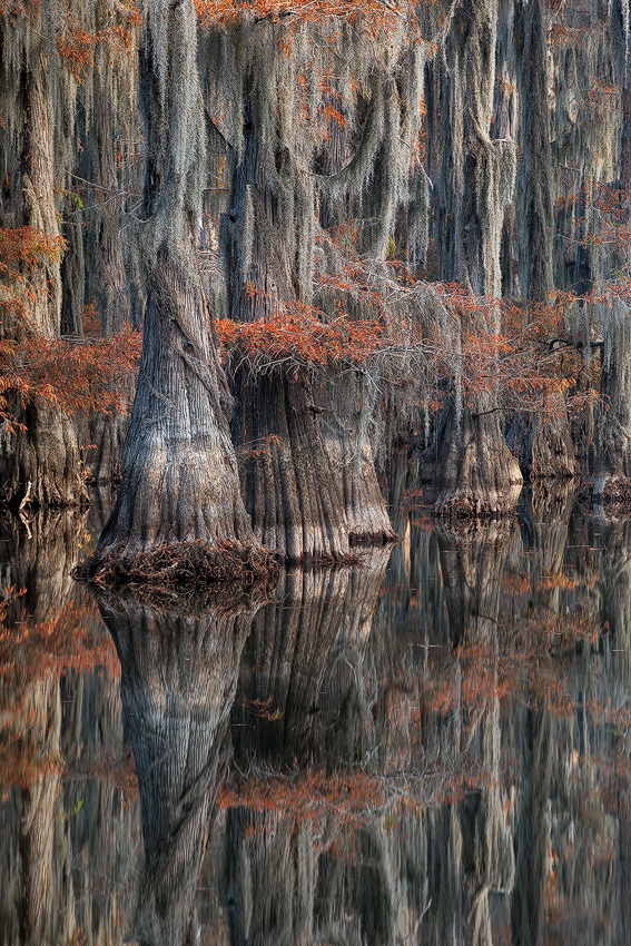 Reflections