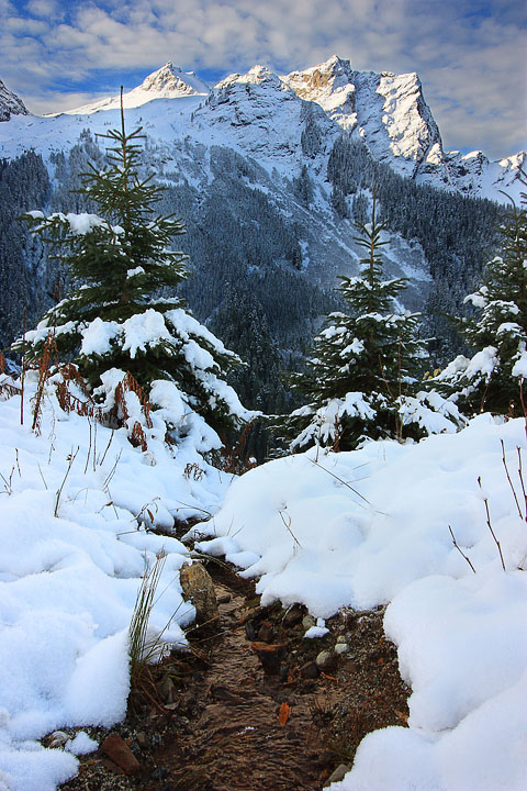 A Stream With A View