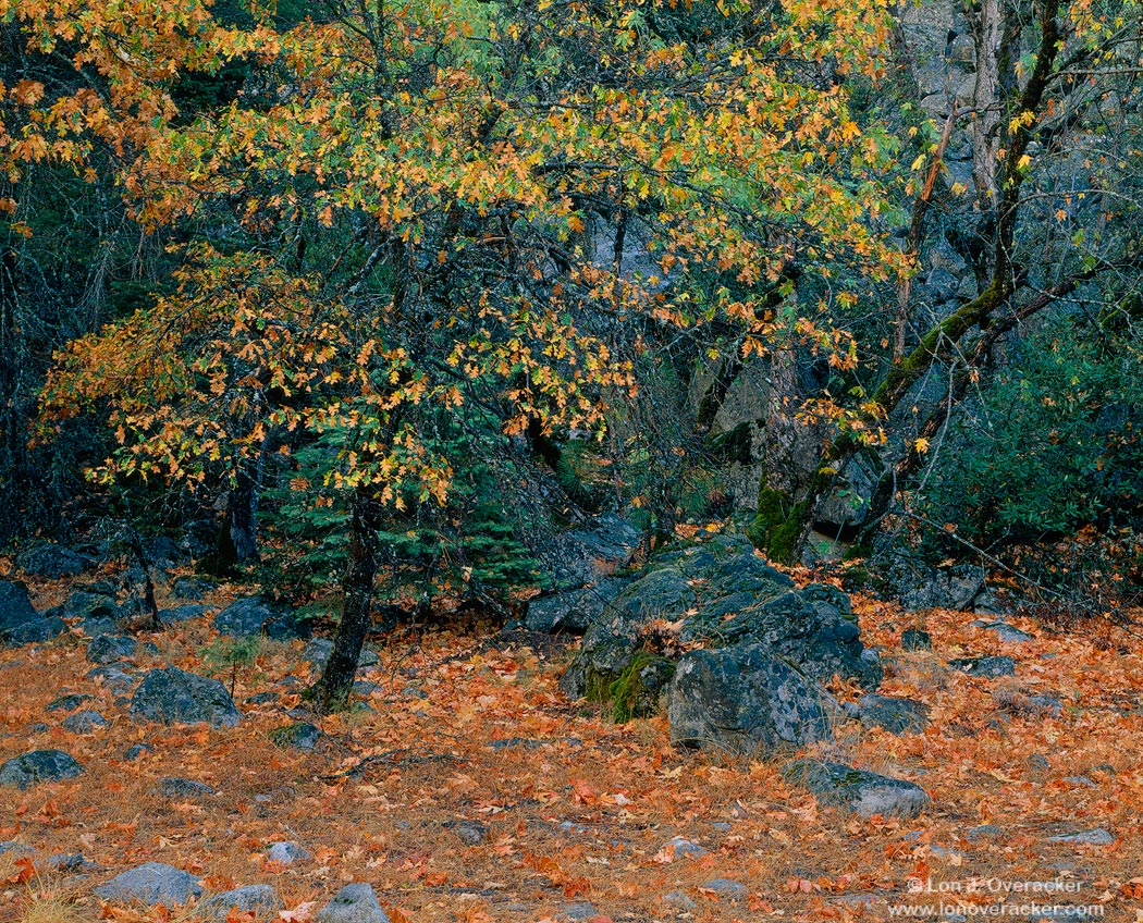 A little Yosemite +rework