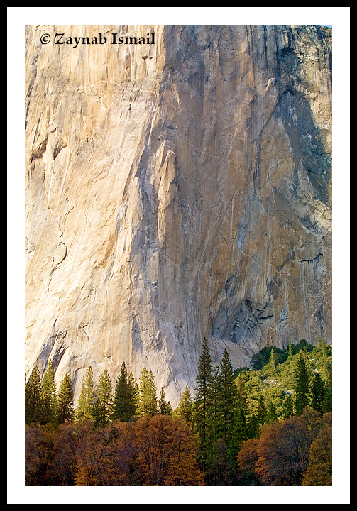 Towering Mountain