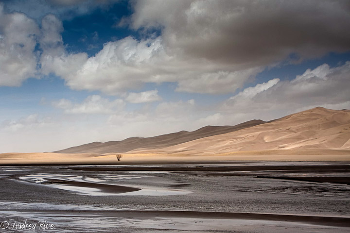 The Great Sand Dunes