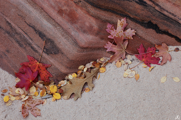 Leaf Us On Our Own (+edit)