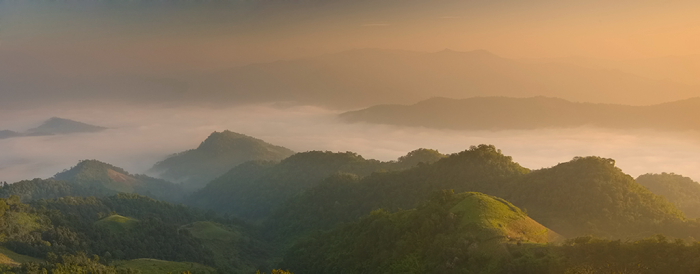 The morning mist