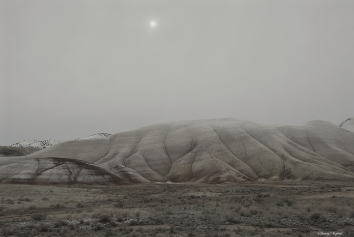 WC #458 Fossil Beds