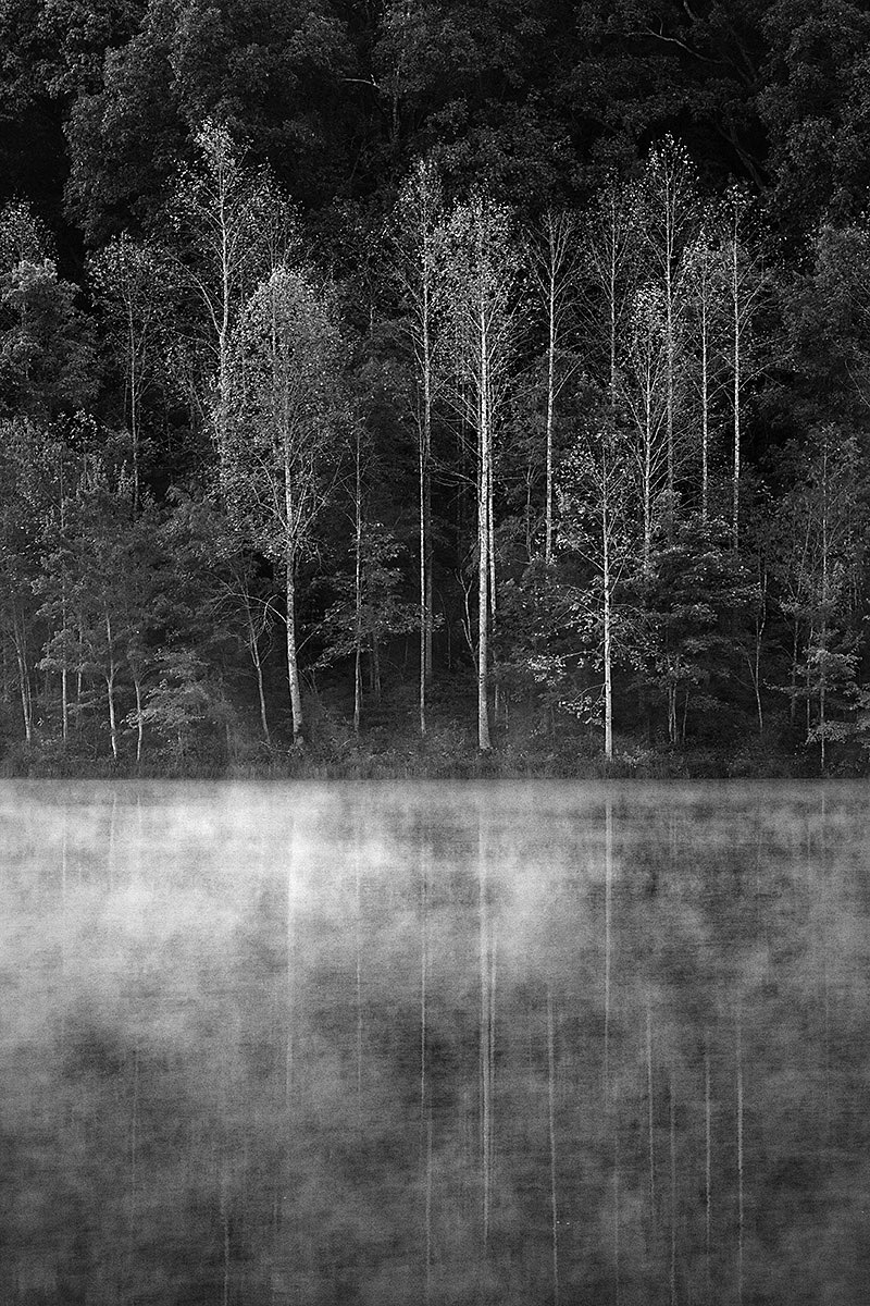 Reflections in the mist