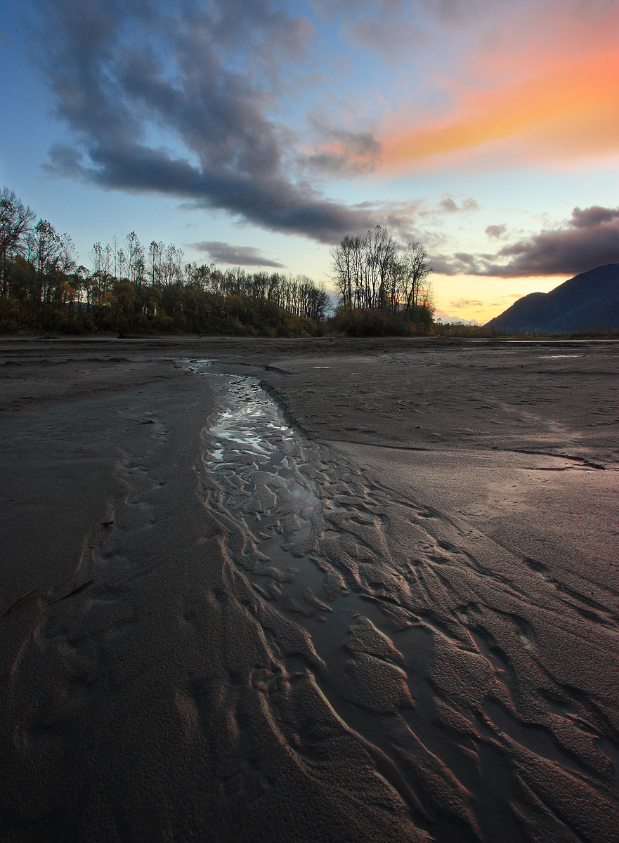 Riverside Ripples