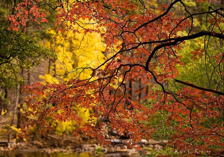 Oriental Yosemite