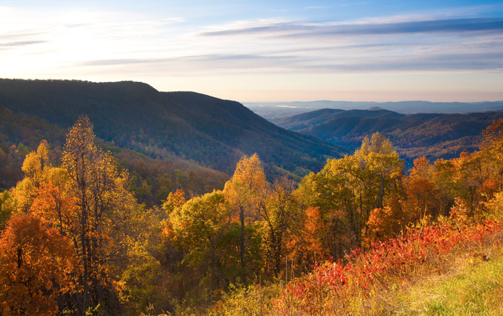 Shenandoah Overlook