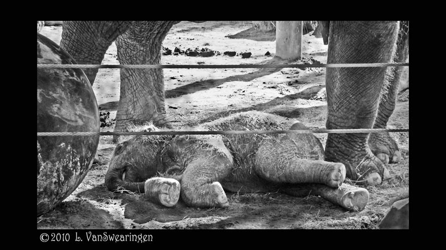 WC 459 1 Just exhausted!!!