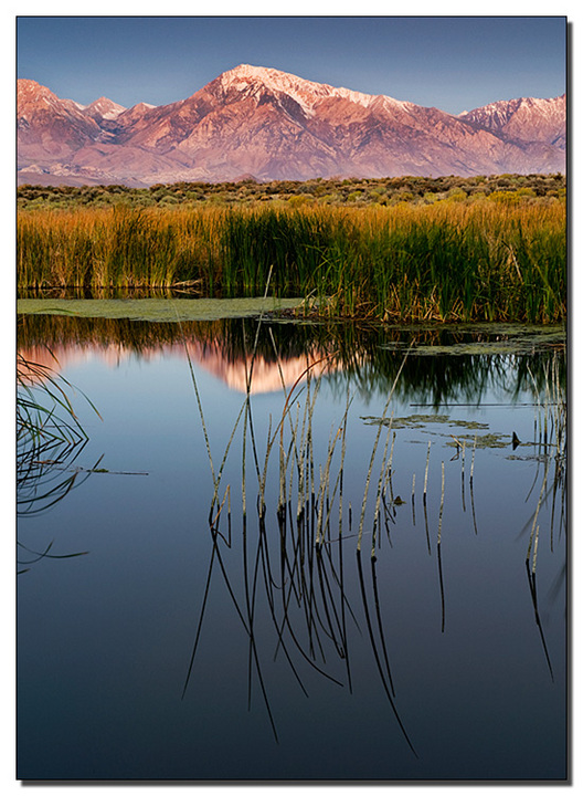 Sierra View...