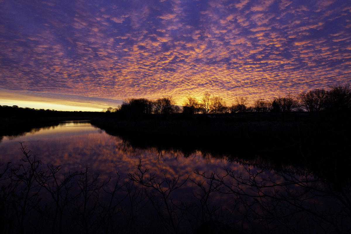 Thanksgiving Sunrise 