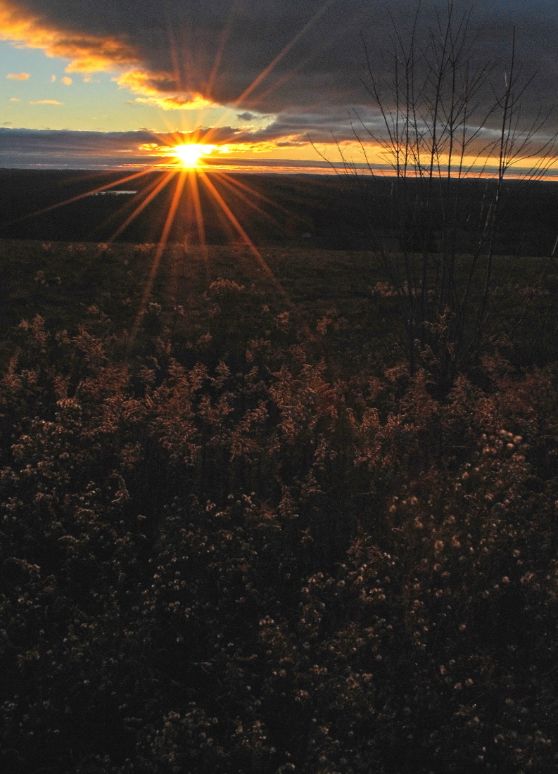 A Sunstar is Born (rpst)