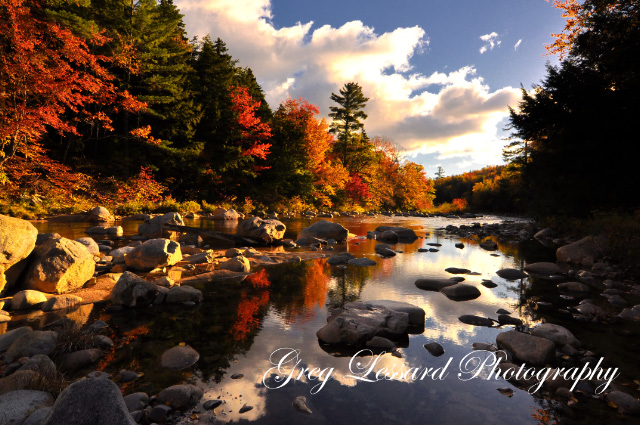 Swift River Reflections