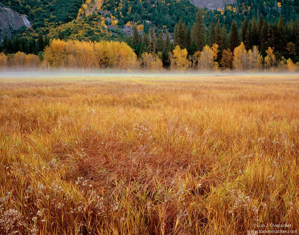 Leidig Meadow Departure