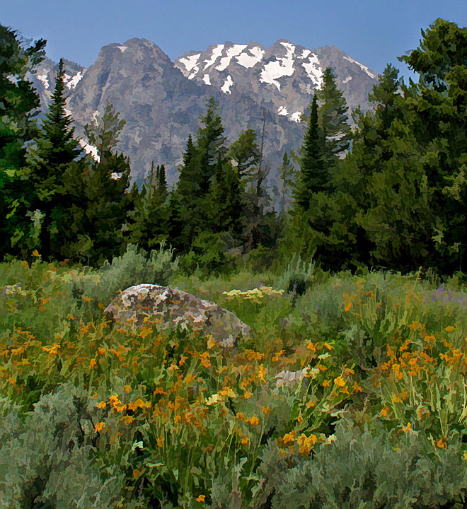 Mountains in the Summer