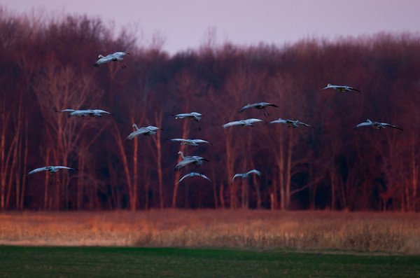 Red Dawn Landing