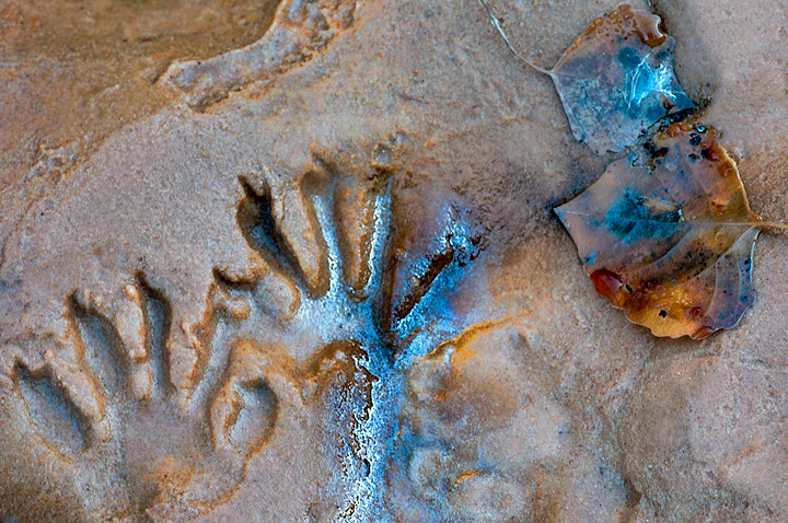 Traces of Fall