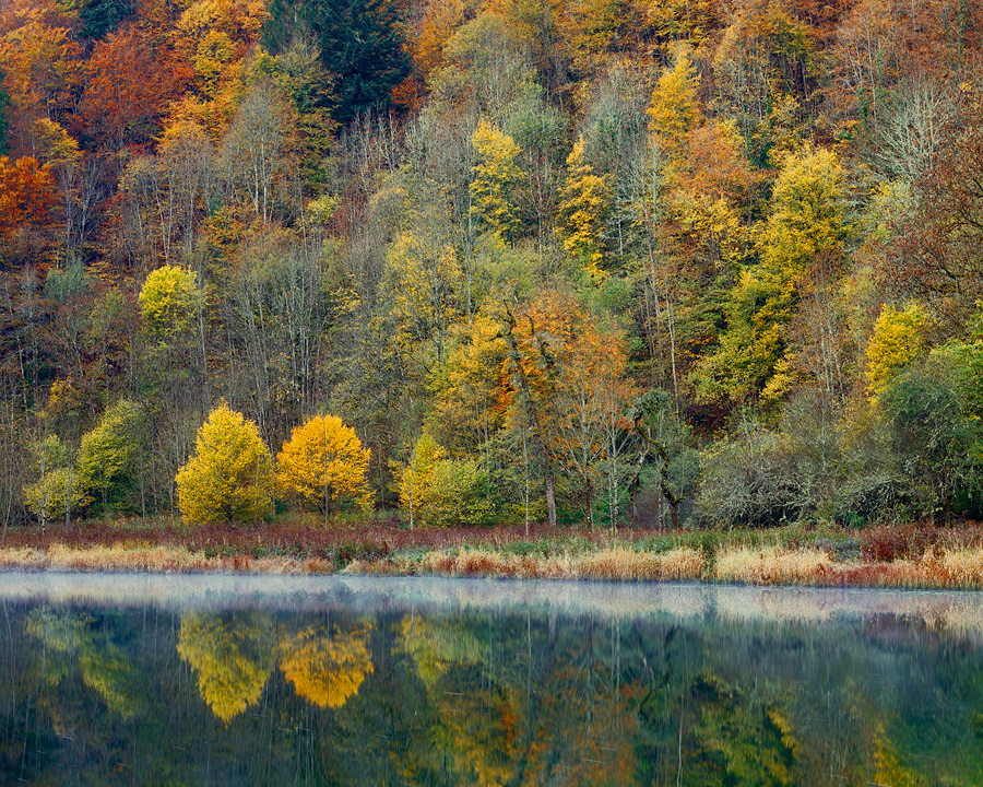 Autumn colour