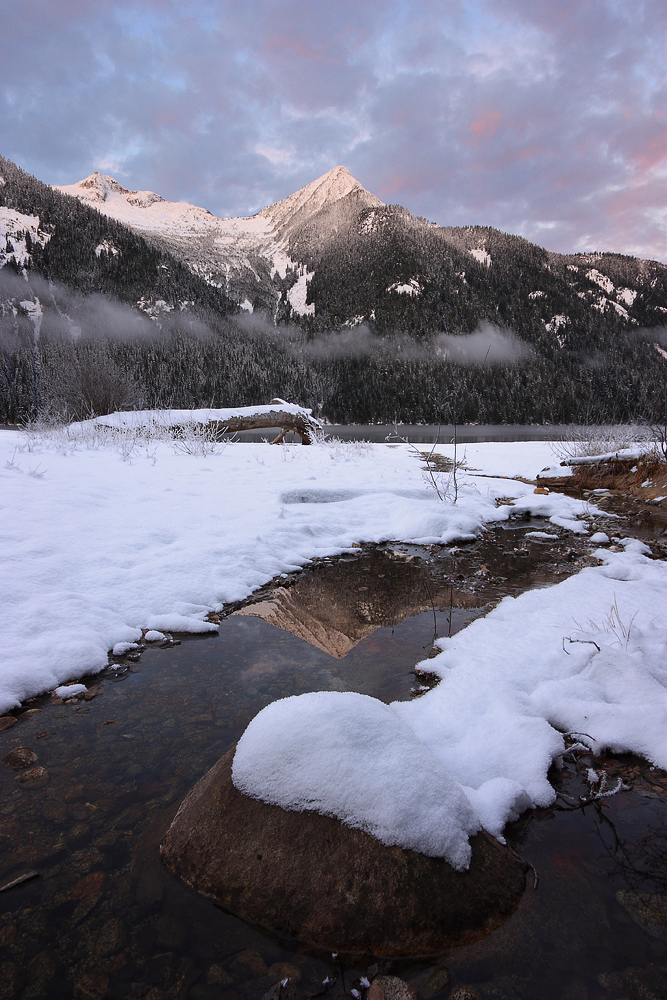 A Frosty Morning