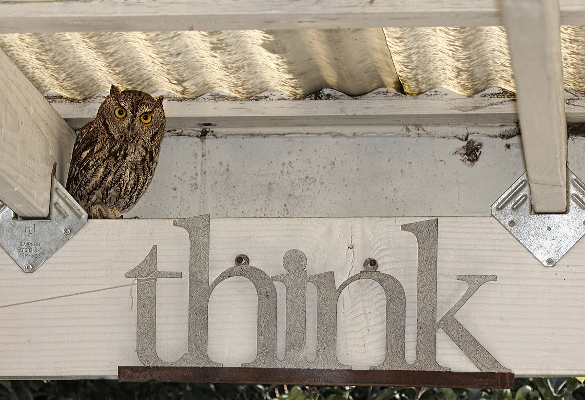 Think