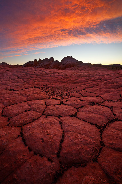 Alien World