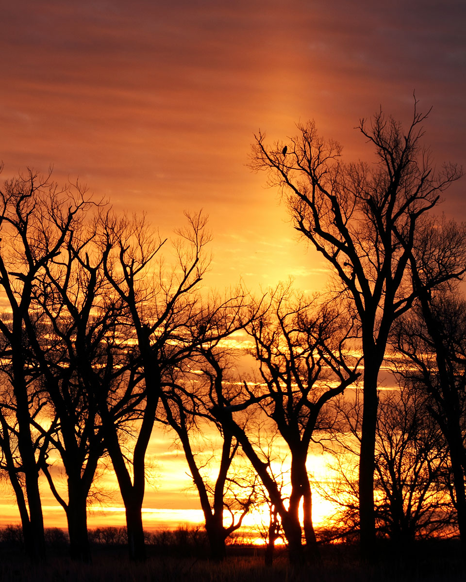 Sun Pillar (repost)