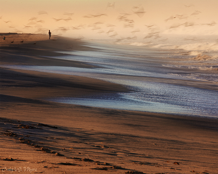Surf Fishing