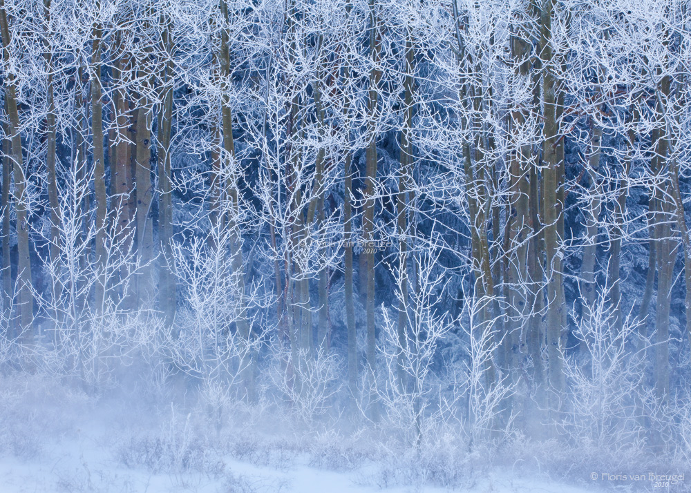 Rhythm and Rime