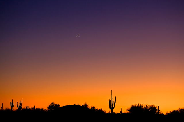 WC 462: Arizona Twilight