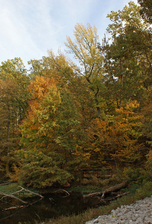 Autumn at Tywappity Lake