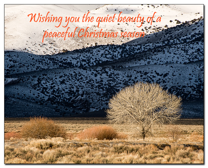 Merry Christmas...