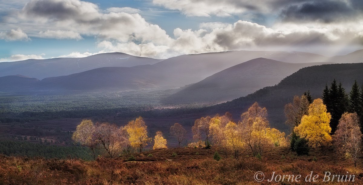 Autumn Vista